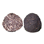 TUBER BRUMALE VITT.(black winter truffle or black tuber)