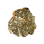 TUBER BORCHII VITT, O TUBER ALBIDUM PICO (whitebait or marzuolo truffle)