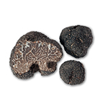 TUBER BRUMALE VAR. MOSCHATUM DE FERRY (truffle muscatel)