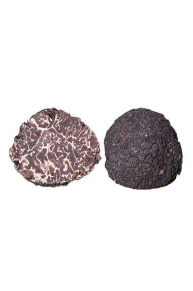 Tuber brumale Vitt. (tartufo nero d’ inverno o trifola nera)